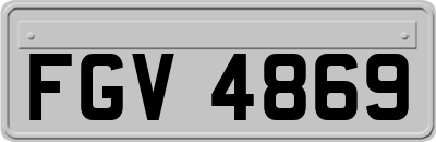 FGV4869