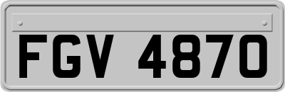 FGV4870