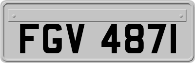 FGV4871