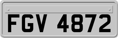 FGV4872