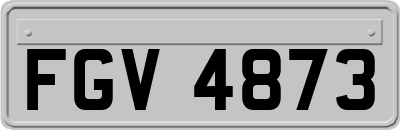 FGV4873