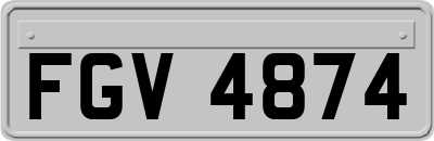 FGV4874