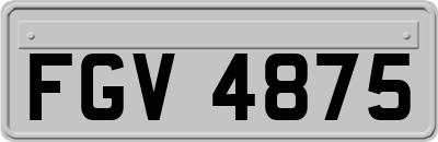 FGV4875