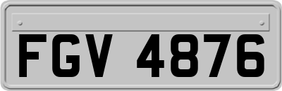 FGV4876