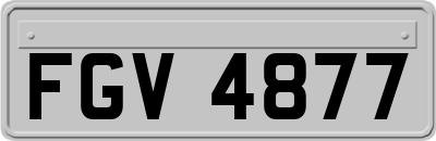 FGV4877