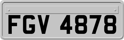 FGV4878