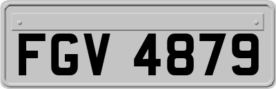 FGV4879
