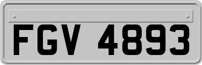 FGV4893