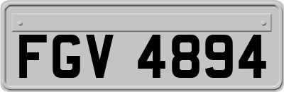 FGV4894