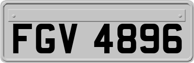 FGV4896