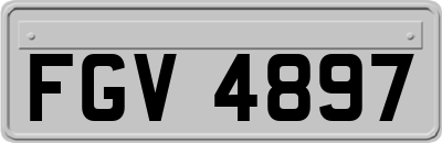 FGV4897