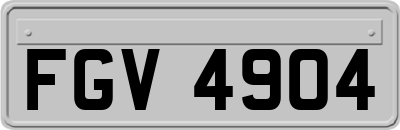 FGV4904
