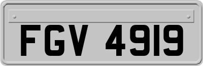 FGV4919
