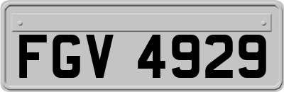 FGV4929