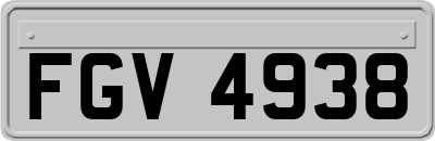 FGV4938
