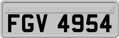 FGV4954