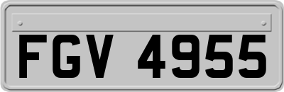 FGV4955