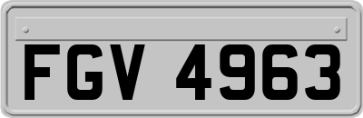 FGV4963