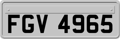 FGV4965