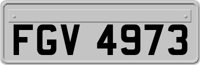 FGV4973