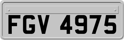 FGV4975