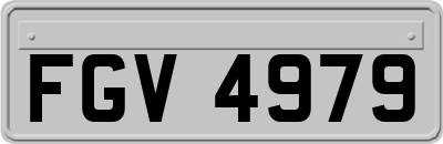 FGV4979