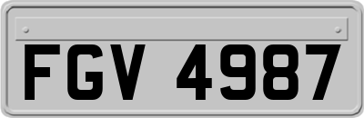 FGV4987