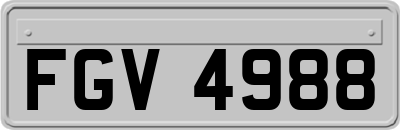 FGV4988