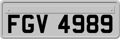 FGV4989