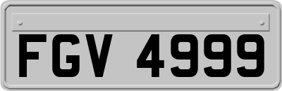 FGV4999