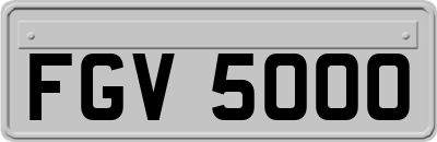 FGV5000
