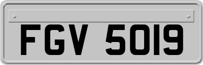 FGV5019