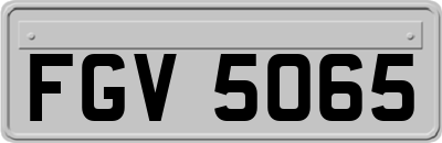 FGV5065