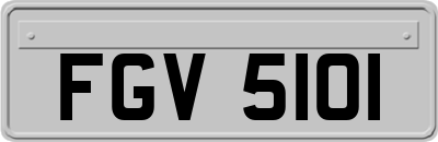 FGV5101