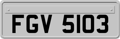 FGV5103