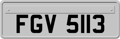 FGV5113