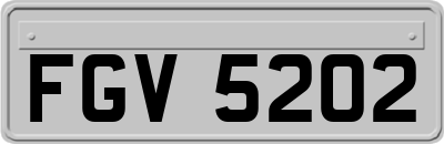 FGV5202