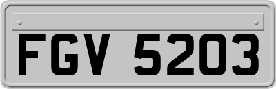 FGV5203