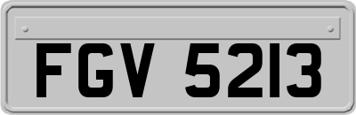 FGV5213