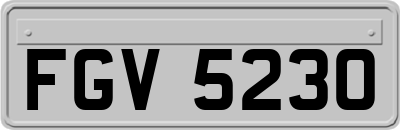 FGV5230