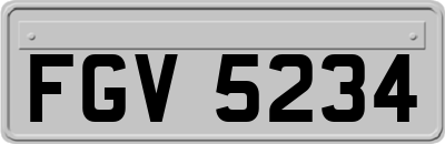 FGV5234