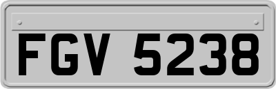 FGV5238