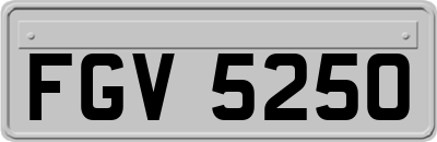 FGV5250