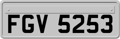 FGV5253