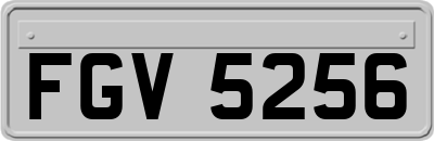 FGV5256