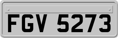 FGV5273