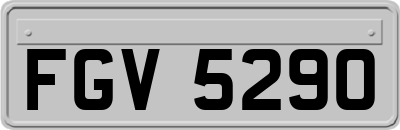 FGV5290