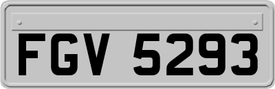 FGV5293