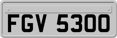 FGV5300