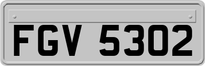 FGV5302